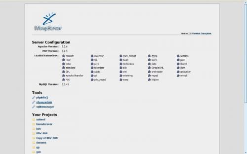 1-wamp-menu Wamp Menu